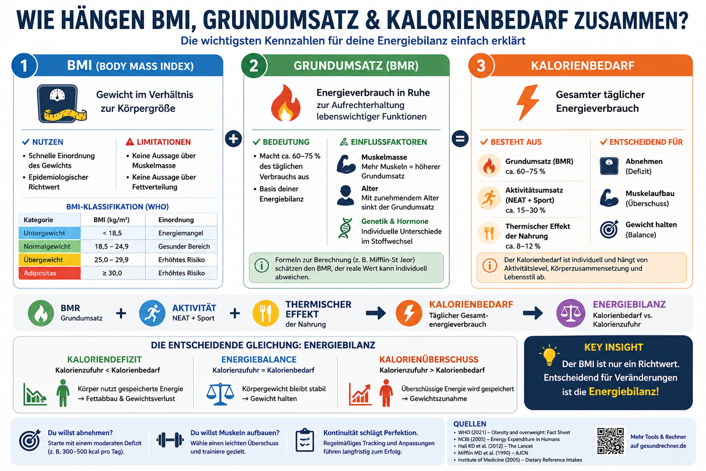 Infografik zum Zusammenhang von BMI, Grundumsatz und Kalorienbedarf