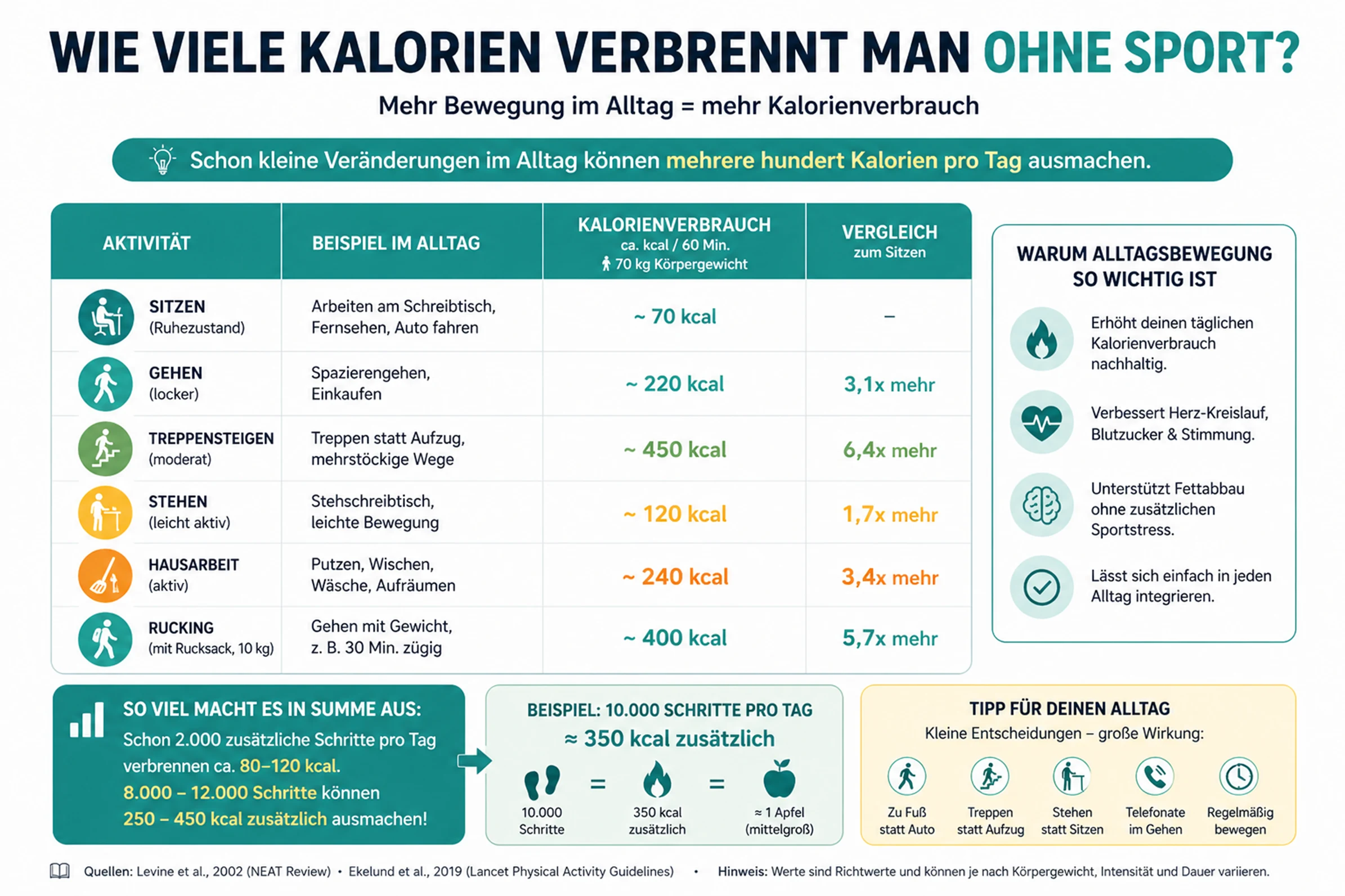 NEAT Kalorienverbrauch Vergleich Alltag Bewegung Schritte Treppensteigen